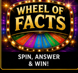 Wheel Of Facts poster